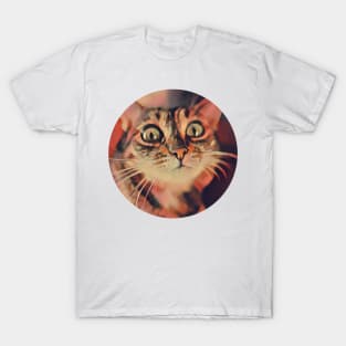 Amusing floppy cat T-Shirt